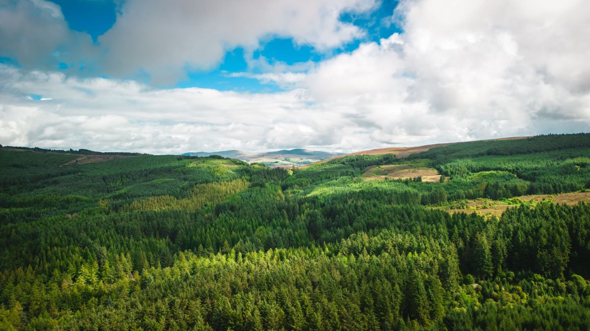 Natur entdecken vor deiner Haustür – Schätze finden